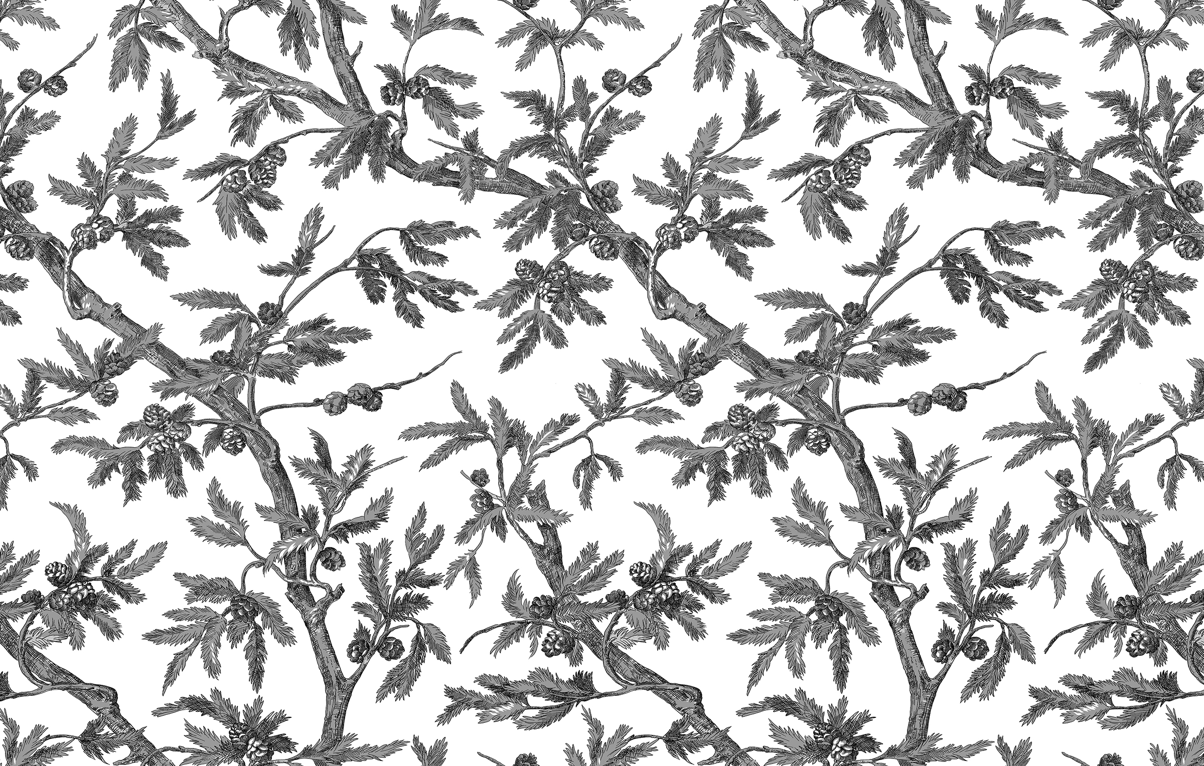 colori BRANCHES DE PIN gris, noir, blanc